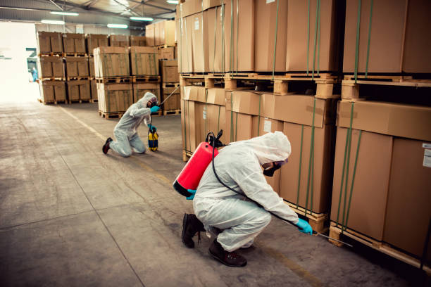 Best Pest Prevention Services  in Shiprock, NM