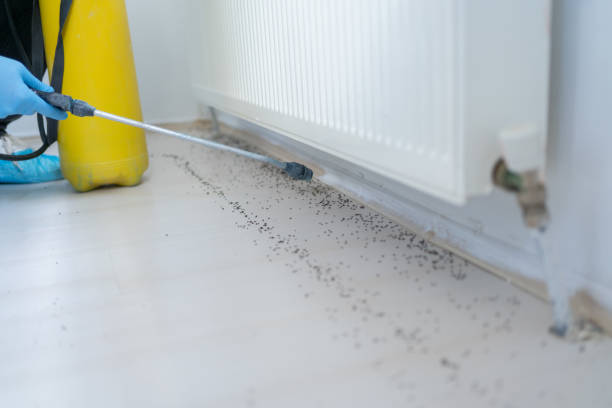 Pest Control Cost in Shiprock, NM