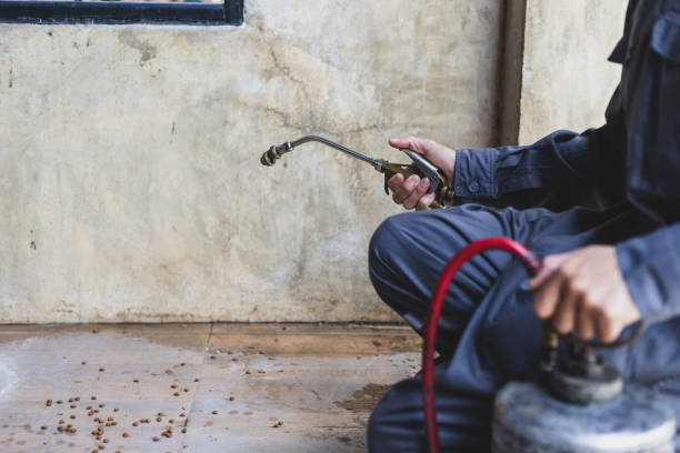 Reliable Shiprock, NM Pest Control Solutions